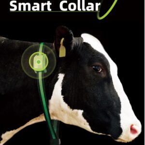 Smart Collar