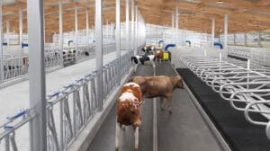 Read more about the article Designing an Efficient Dairy Barn: The Complete Facility Guide