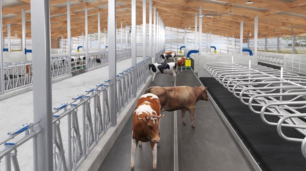 Read more about the article Designing an Efficient Dairy Barn: The Complete Facility Guide