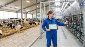 Read more about the article Essential Daily Dairy Farm Operations Checklist