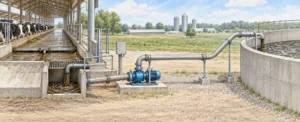 Read more about the article How to Choose Dairy Manure Handling Equipment